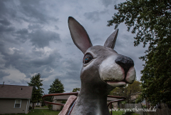 Rich Henry's Rabbit Farm