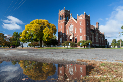 Church of the Neon-Cross 